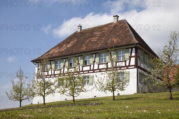 Blossoming fruit trees in front of a half-timbered house