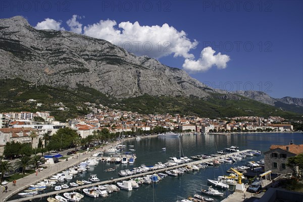 Fishing boats in the harbour