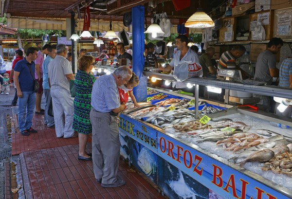 Fish Market