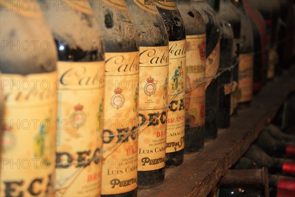Old red wine bottles in a historic wine cellar