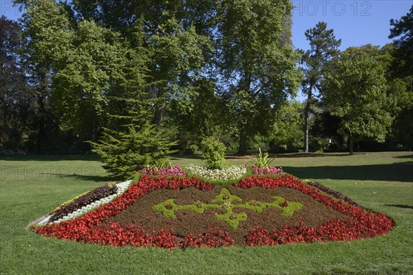 Flower arrangement in the Park of Versailles