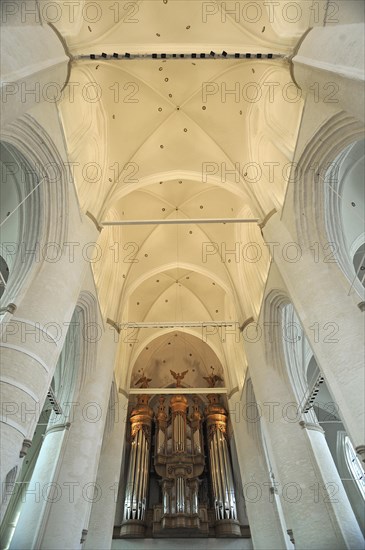Vaulted ceiling with Flentrop organ