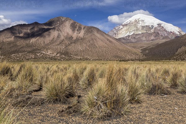 Sajama Volcano