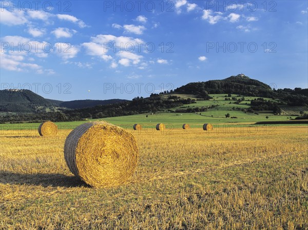 Harvested field with straw bales