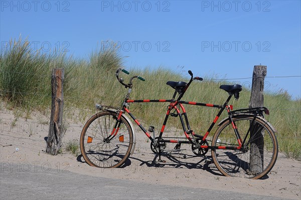 Tandem leaning against a fence in the dunes