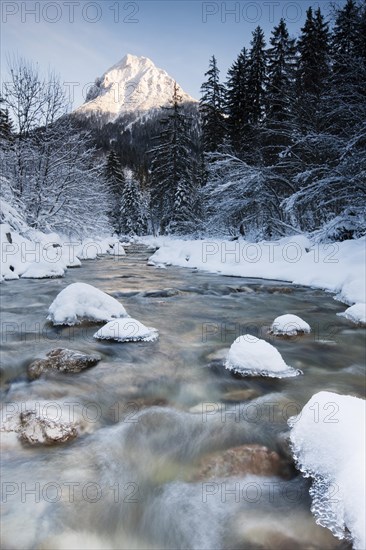 Snow-covered trees by the Ampelsbachl stream winter