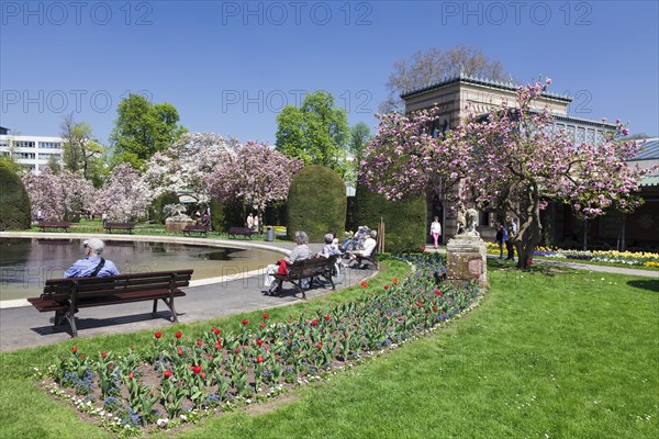 Magnolia blossom in the Moorish Garden