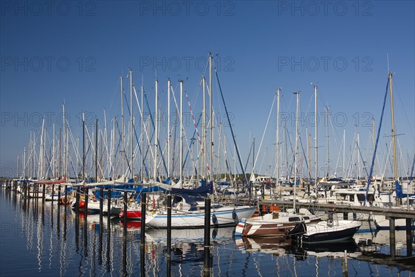 Sailboats in the marina