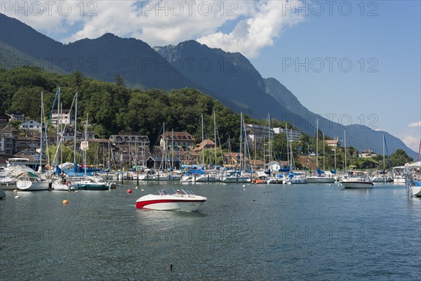 Boats in the marina