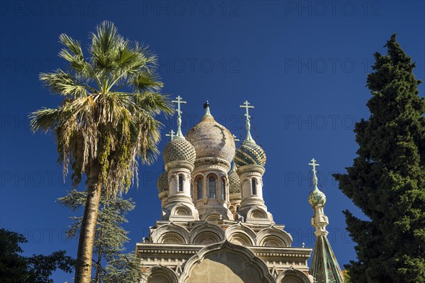 Orthodox Church