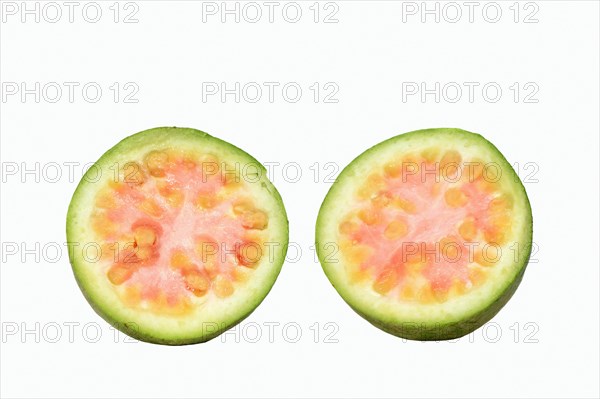 Apple Guava or Common Guava (Psidium guajava)