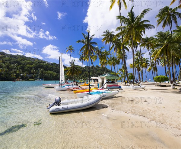 Palms on the sandy beach in Marigot Bay