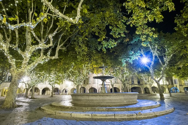 Fountain on Place aux Herbes at night