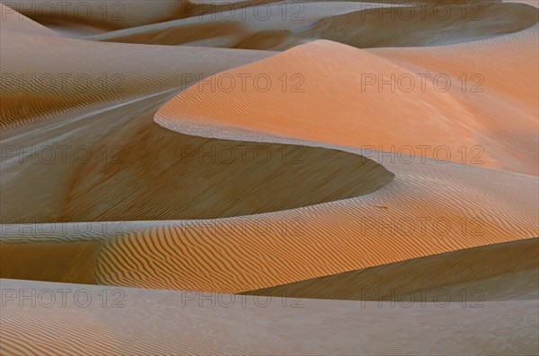 The sand dunes of the Wahiba Sands desert