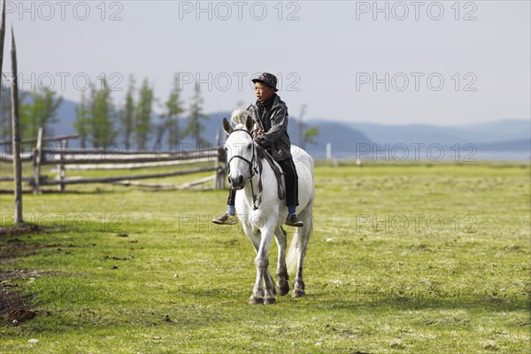 Boy riding a Mongolian horse