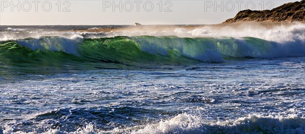 Breaking ocean wave