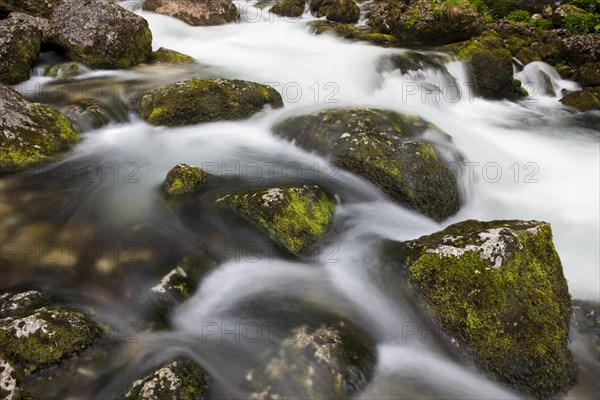 Brook with moss-covered stones