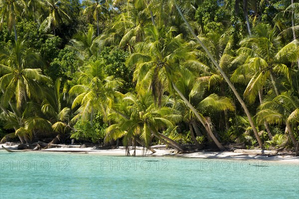 Lagoon with a sandy beach and palm trees