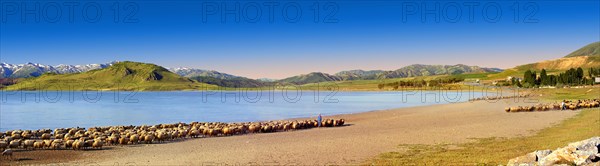Shepherds and sheep on the shore of Lake Van