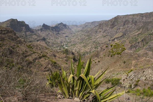 Rocky landscape