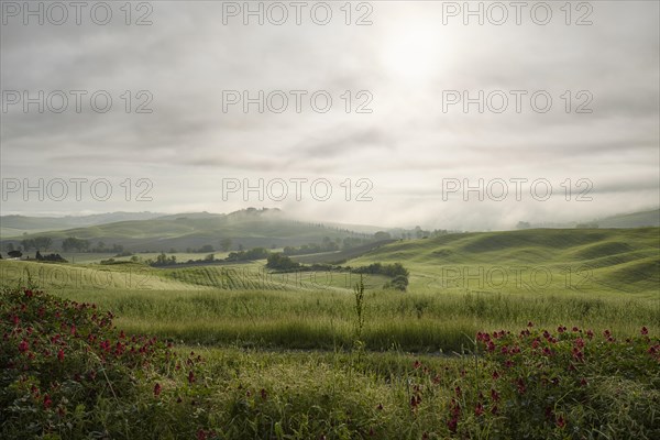 Fog in the valleys of the Crete Senesi