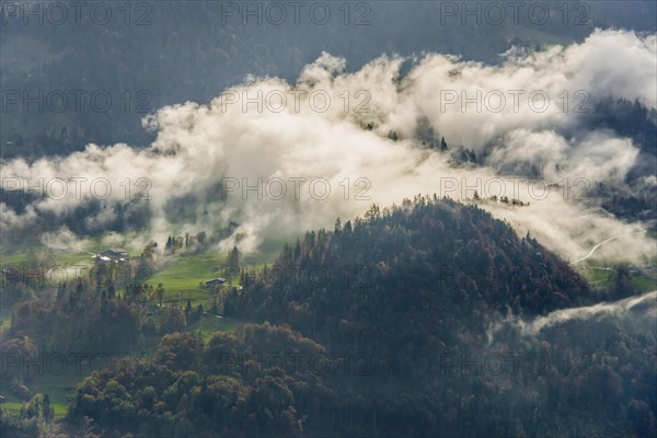 Meadows and a forest with clouds