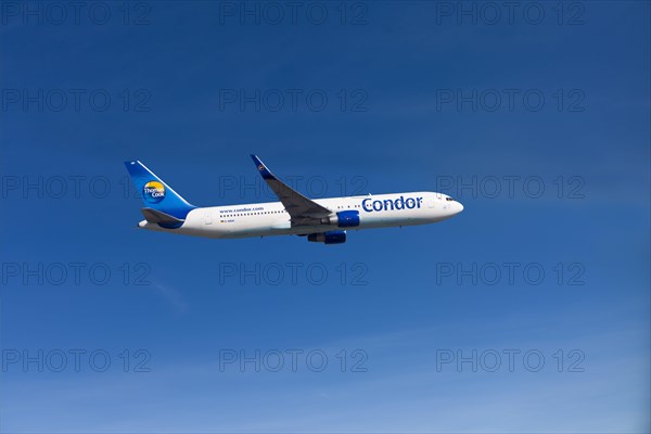 Condor