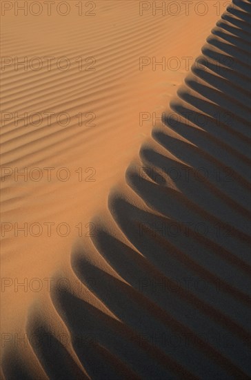 Patterns of the sand dunes of the Wahiba Sands desert