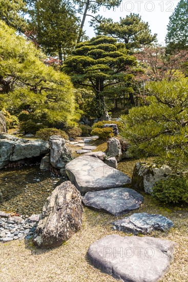 Garden Landscape