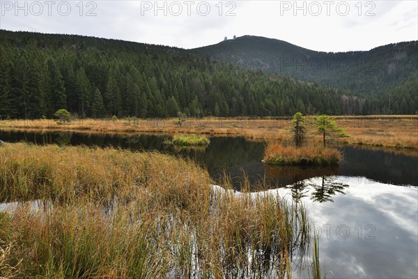 Autumn in the Naturschutzgebiet Kleiner Arbersee nature reserve