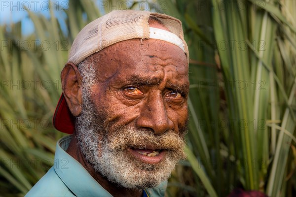 Farm worker on a field of sugar cane