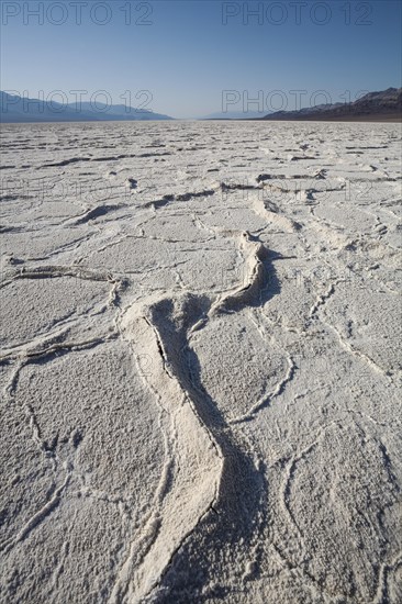 Salt crusts at the Badwater Basin