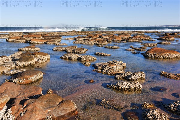 Reef coastline