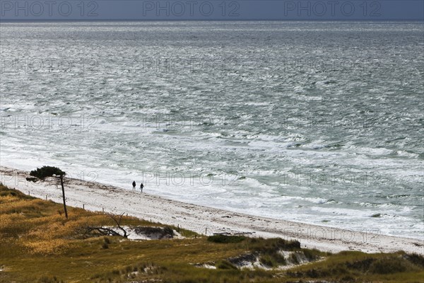 View on the western beach of Darsser Ort