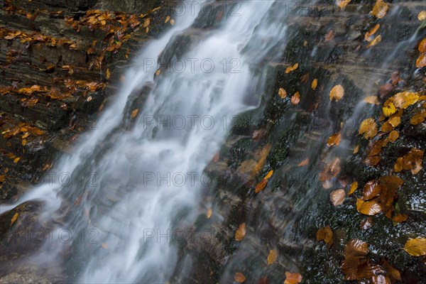 The Taugl river in autumn