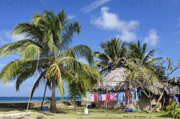 Hut under palm trees