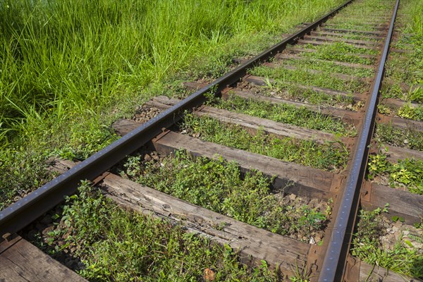 Old train tracks