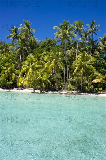 Lagoon with a sandy beach and palm trees