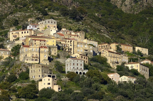 Mountain village of Lama in the Ostriconi Valley