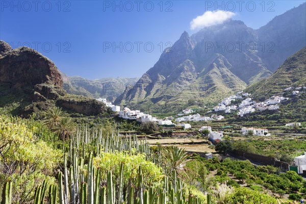 Valley of Agaete