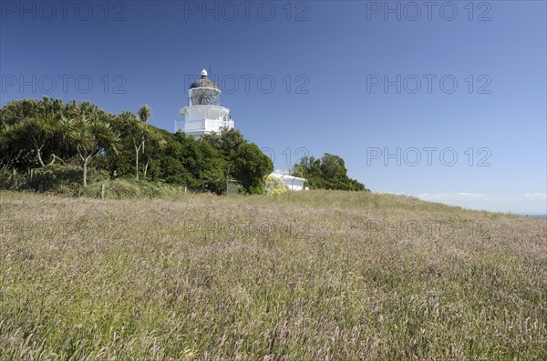 Meadow in front of Katiki Point Lighthouse