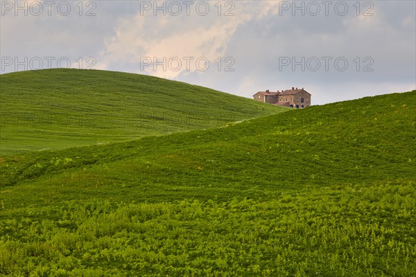 Single house between hilly fields