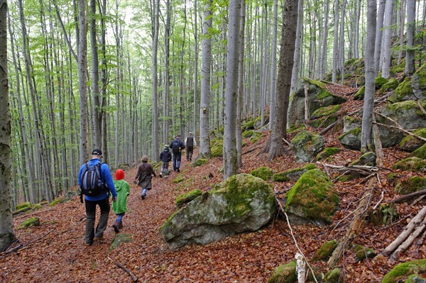Hikers