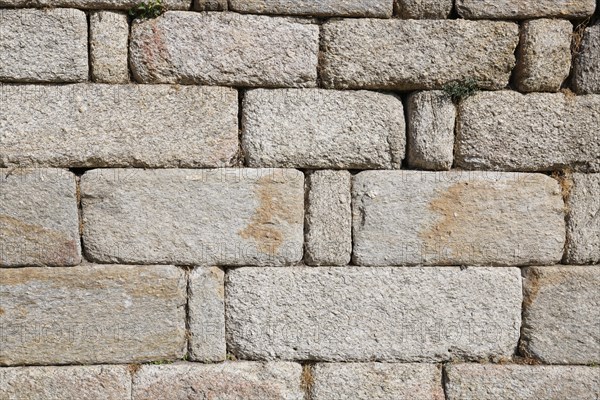 Wall