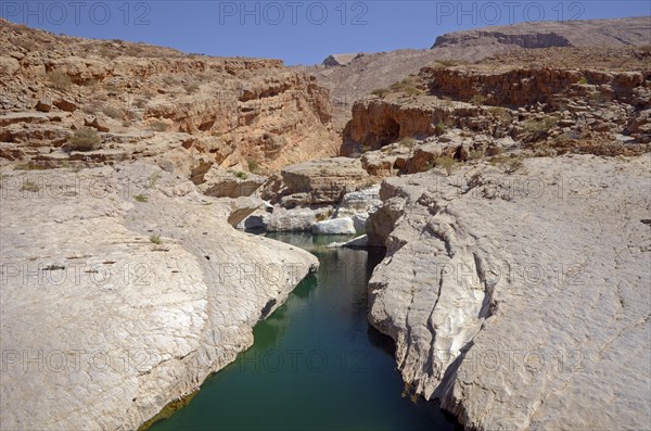 A pool filled with green water surrounded by the rocks of the desert