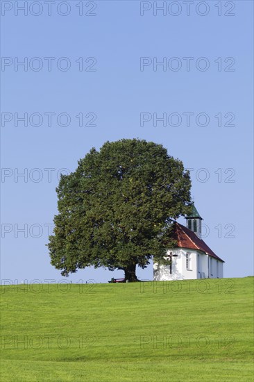 Heilig-Kreuz-Kapelle