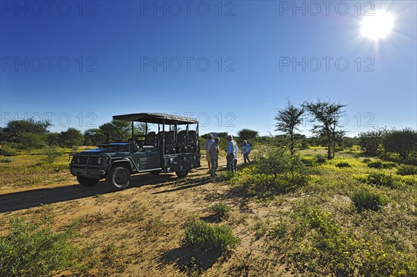 Safari carriage with tourists in blooming savannah