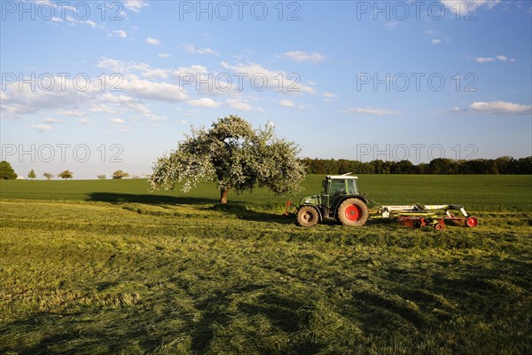 Agricultural work in the spring