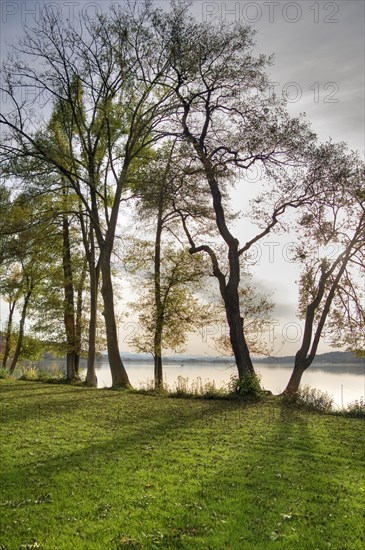 Pilsensee lake