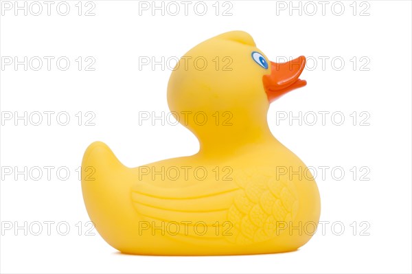 Yellow rubber ducky